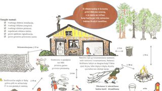 Правила сжигания сухих листьев и веток на дачных участках