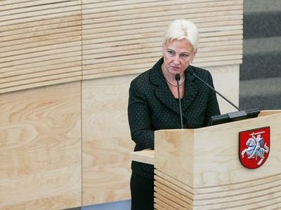 Спикер Сейма Литвы начала визит в Грузию - Литва и страны Балтии