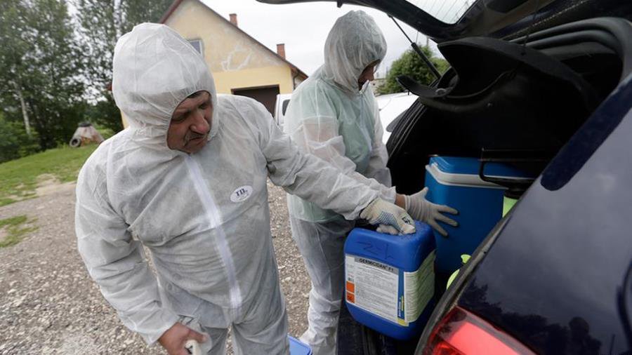 Почему ЕС выставит России счет за свинину на 1,4 млрд евро - В Мире