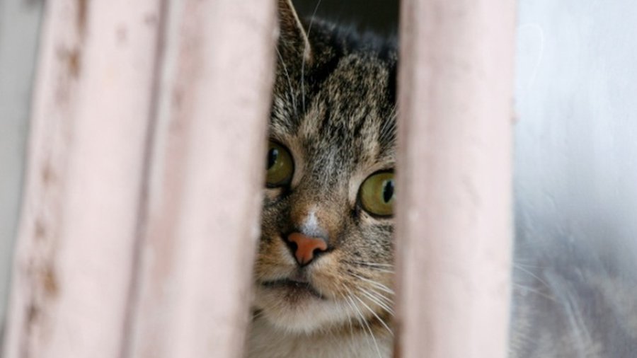 БЕЗ ЦЕНЗУРЫ: Конкретно для технического руководителя ЗАО «Висагино бустас» - Без цензуры