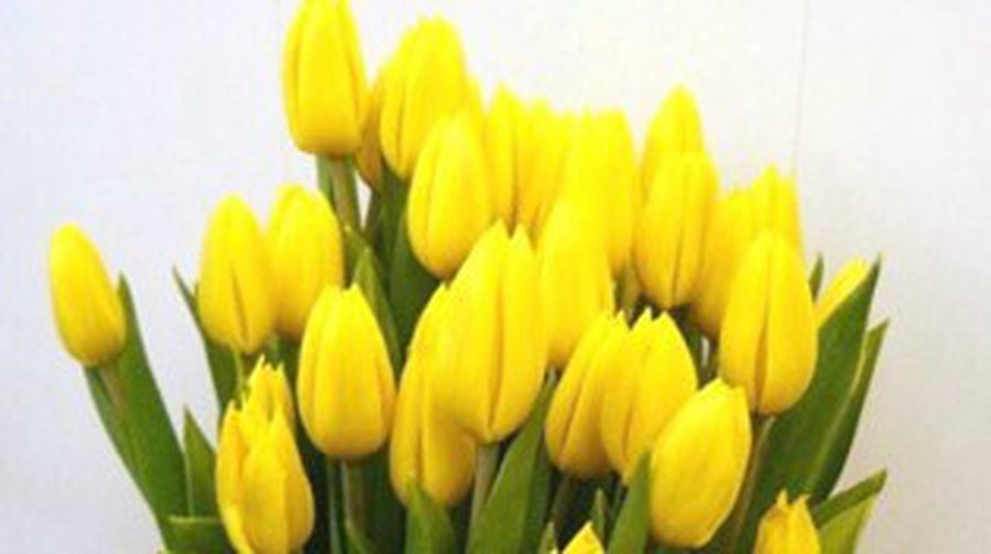 С 8 марта! - В Висагинасе