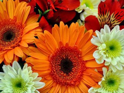 Поздравляем т/ц «Domino» с юбилеем! - Новости TTS