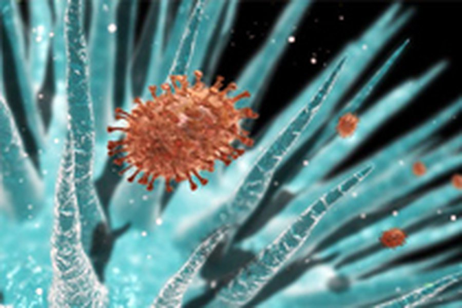 ВОЗ рекомендует полностью изменить состав противогриппозных вакцин - Наука и здоровье