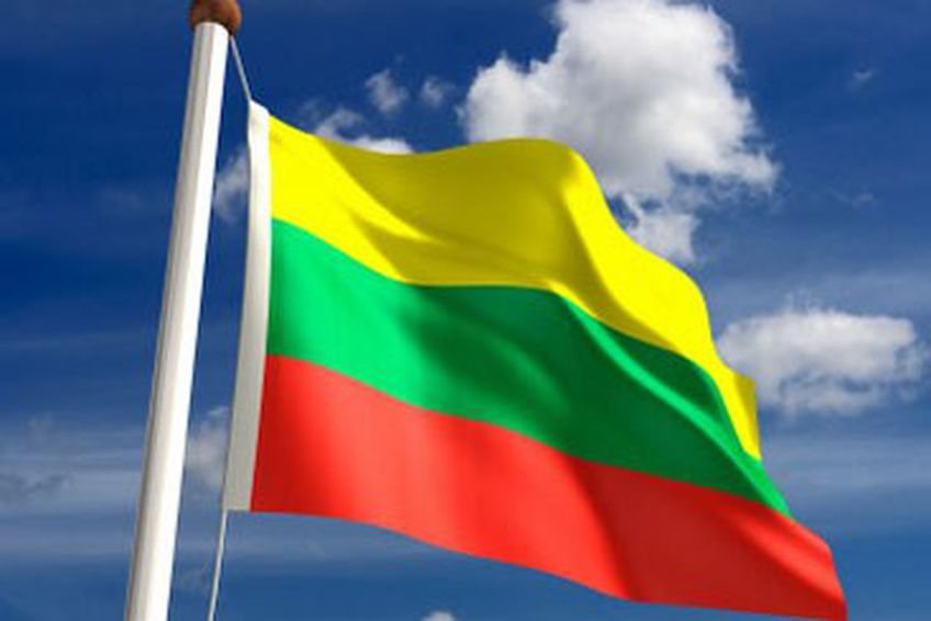 Мнение: Литовский аргумент «сам дурак» не переспоришь