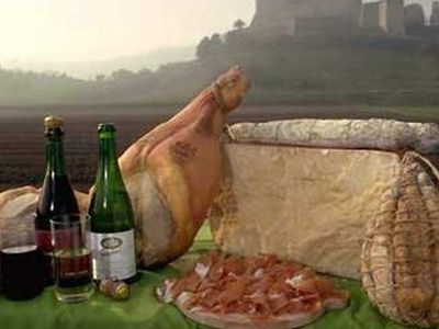 Хорошее вино способствует похудению и продлевает жизнь - Наука и здоровье