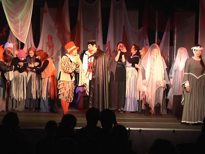 «Синяя птица» может стать редкой  - В Висагинасе