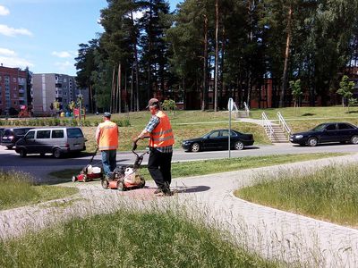 Почему не хватает косарей или К чему привела смена программ для безработных - В Висагинасе