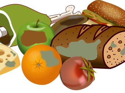 За ненадлежащее обращение с пищевыми и кухонными отходами – солидные штрафы - Литва и страны Балтии