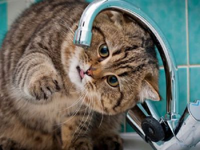 Об отключении холодной воды - В Висагинасе