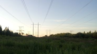 Синхронизация с Западом преградит путь в Литву электроэнергии БелАЭС - Минэнерго Литвы