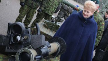 Президент: Литве подошла бы небольшая профессиональная армия и резерв