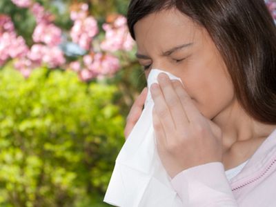 5 способов выжить аллергику в мае - Наука и здоровье
