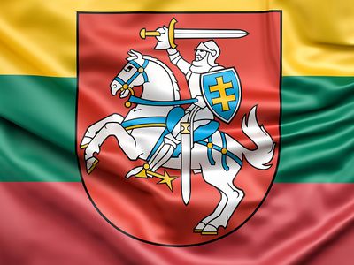 11 марта висагинцев приглашают к участию в конкурсе «Украсим свои окна» - В Висагинасе