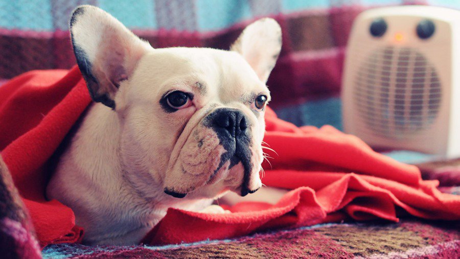 Поздравляем победителя! - Конкурсы для читателей