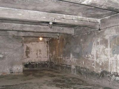 Евреи не склонны забывать преступления литовцев, а литовцы – секретную тюрьму США: Литва за неделю - Литва и страны Балтии