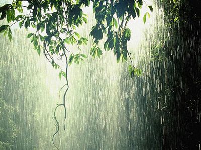 Orai: Lietuvoje lyja lietus - Lietuva ir Baltijos šalys