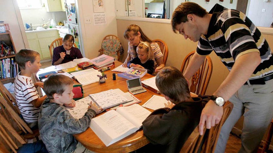 Педагогика на коленке: в какой стране лучше учиться на дому - Мир молодежи