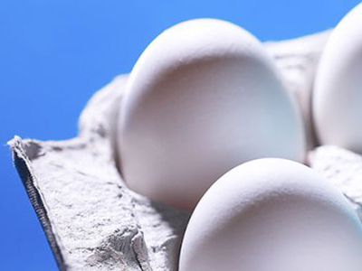 Didesnio kiaušinių pigimo po švenčių nežada                                 - Lietuva ir Baltijos šalys