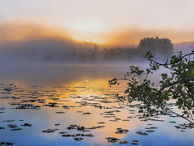 Посмотрите в даль с Пятрасом Билкисом (видео) - В Висагинасе