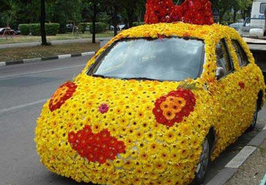 Самые женские автомобили
                 - Хобби, отдых и развлечения