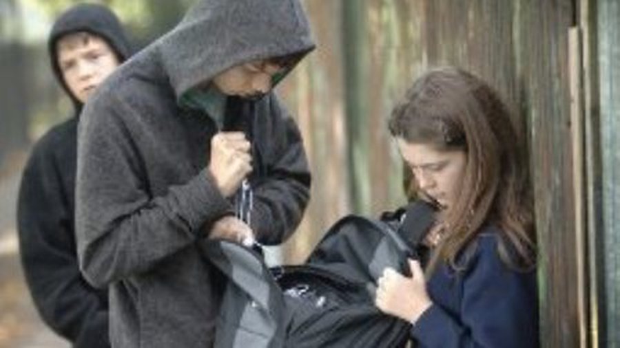 Когда литовские власти обратят внимание? - Происшествия и криминал