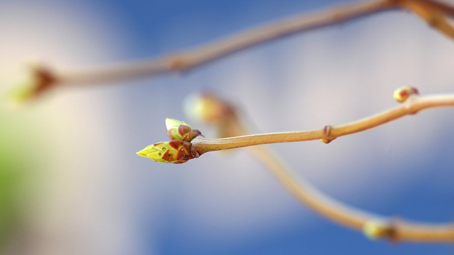 Прогноз: порадуют ли выходные теплом? - Литва и страны Балтии