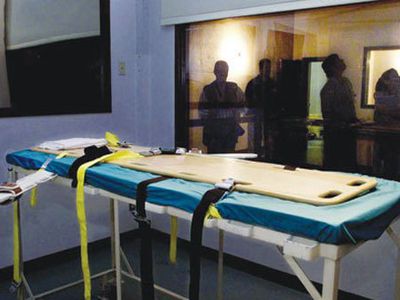 В США мужчину казнили при помощи препарата для эвтаназии животных - Происшествия и криминал