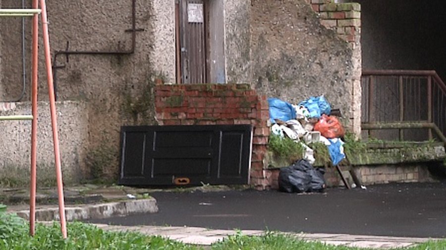 Вывоз мусора: что предлагает рабочая группа - В Висагинасе