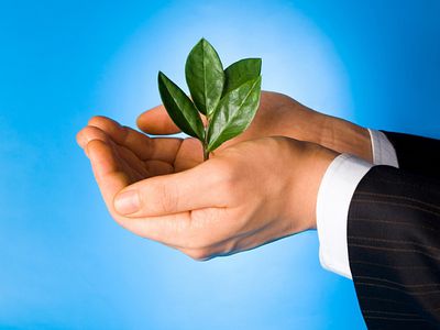 Российские биологи «воскресили» растение возрастом 30 тысяч лет
                                 - Наука и здоровье