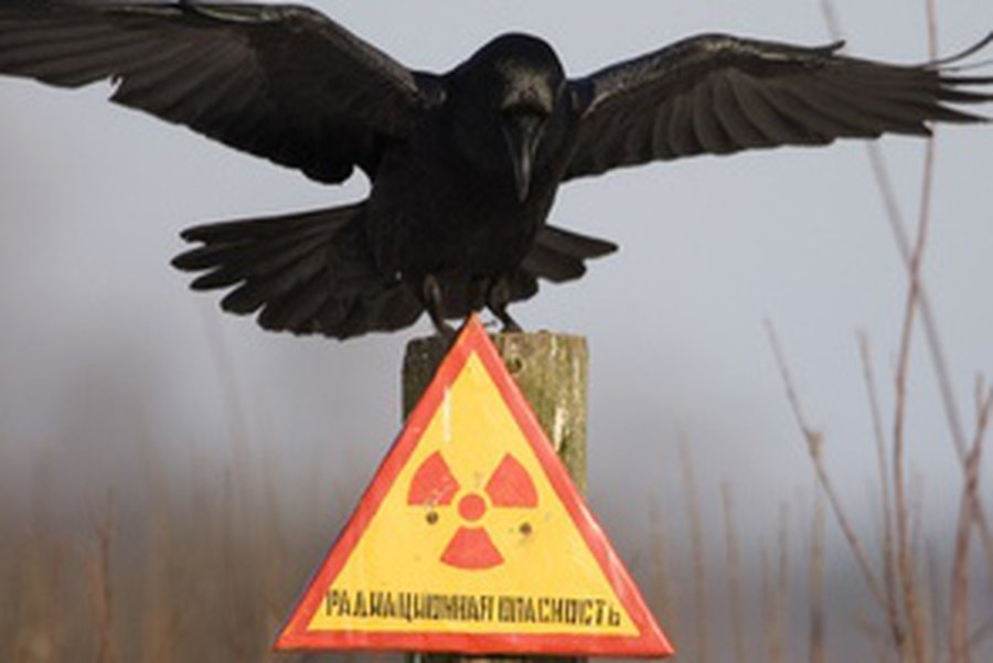 Литва в Женеве пытается оспорить правомерность выбора площадки для Белорусской АЭС

                                 - Энергетика