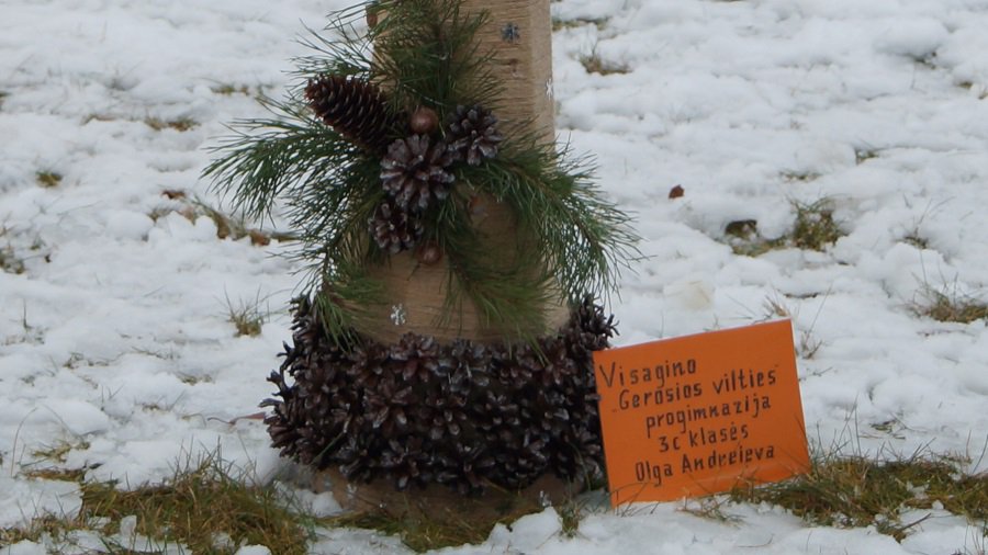 Прогимназия "Gerosios Vilties", 3-C класс (Ольга Андреева) - Конкурсы для читателей