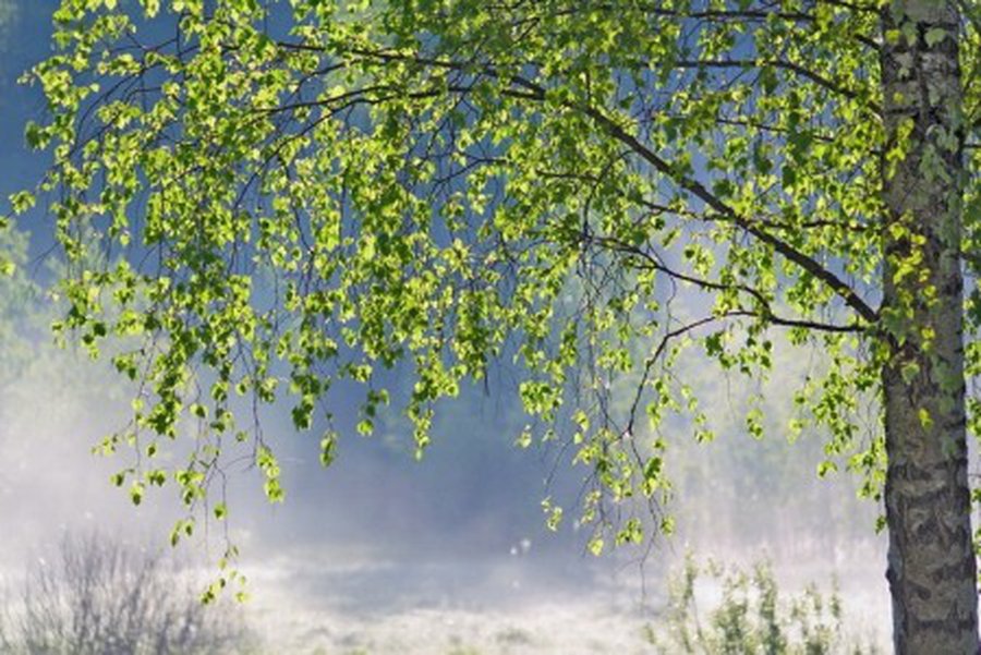 Вниманию участников конкурса «Россия моими глазами» (обновлено)                                                            - Мир молодежи