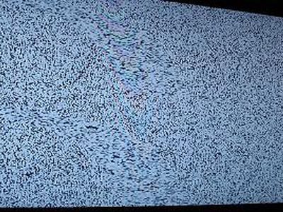 Висагинским футбольным болельщикам не повезло - В Висагинасе