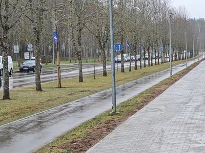 В Висагинасе расширят сеть велосипедных дорожек - В Висагинасе