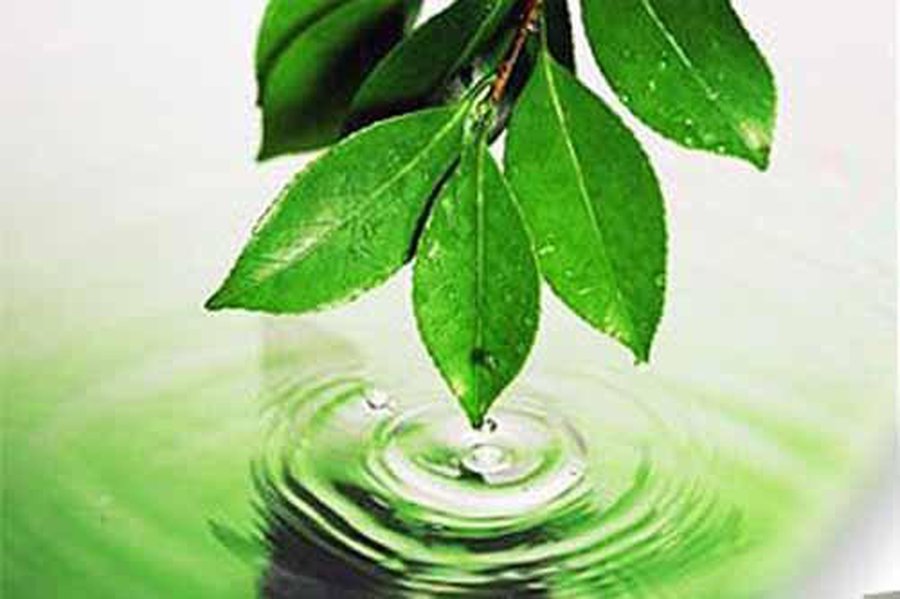 Литва не сумела освоить средства, направленные ЕС на экологические проекты - Литва и страны Балтии