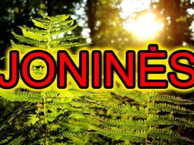 Kviečiame į šventę „Ain saulala aplink dungų“
                 - Visagine