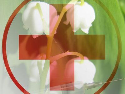 Те, без кого как без рук - В Висагинасе