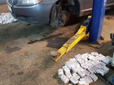 В Утянском уезде задержана крупная партия гашиша на миллион евро - Происшествия и криминал