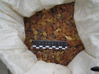 Из Калининграда в Литву пытались незаконно вывезти 14 мешков янтаря - Происшествия и криминал