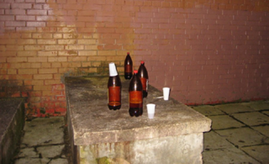 Сводка криминальных происшествий за период со 2 по 8 апреля - Происшествия и криминал