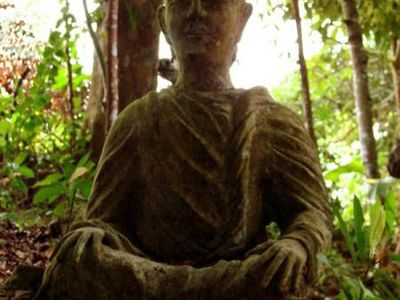 Мудрыми стариков делает рассеянное внимание - Наука и здоровье