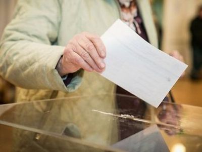 Для проживающих за рубежом литовцев открыты дополнительные пункты для голосования - Выборы 2019