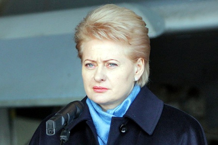 Литва готовится к партизанской войне: Литва за неделю - Литва и страны Балтии