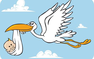 Статистика ЗАГСа за декабрь - В Висагинасе