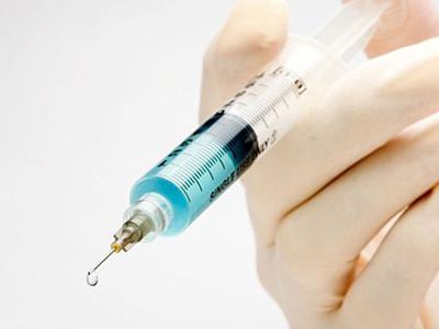 Литовский депутат предложил узаконить эвтаназию - Литва и страны Балтии