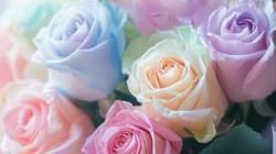 Sveikiname Tarptautinės moterų solidarumo dienos proga!