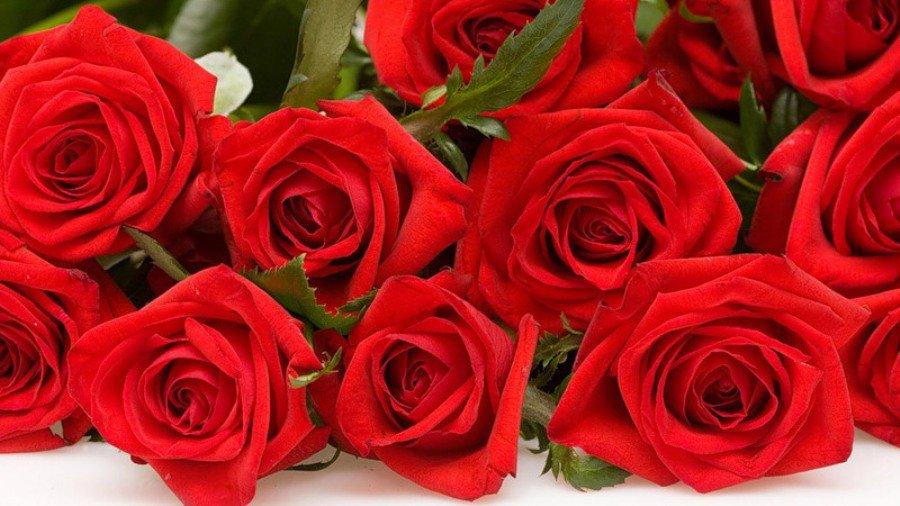 Поздравляем Игоря Красикова с юбилеем! - Поздравления