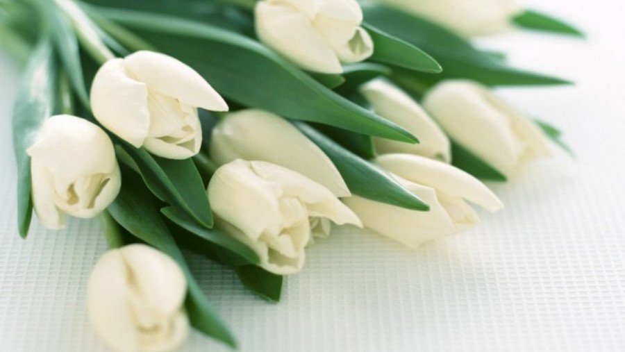 С днем рождения, дорогая наша мамочка Леночка!  - Поздравления