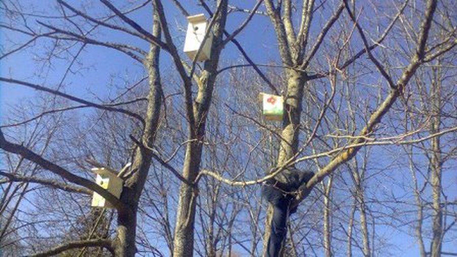 Pavasaris ateis sekmadienį - Lietuva ir Baltijos šalys