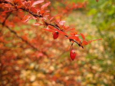 Savaitgalis bus sausas, saulėtas ir rudeniškai šiltas - Lietuva ir Baltijos šalys